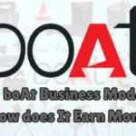 boAt Business Model